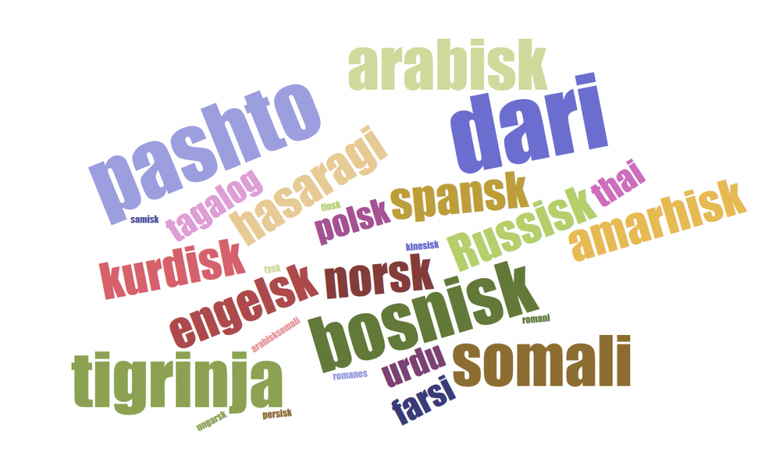93 elever kan til sammen 34 språk