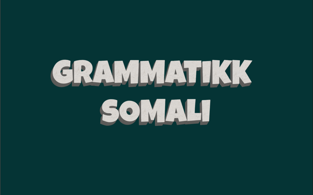 Beskyttet: Kontrastiv grammatikk, Somali
